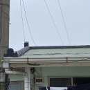 광진민박 이미지