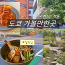 도우(DOU) | 도쿄 가볼만한곳 일본 MZ핫플 시모키타자와 ,202커리도우 현지인맛집, 보너스트랙 방문기