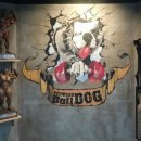 불독휘트니스 이미지