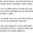 뉴스) 강원 양구 산불 원인 이미지