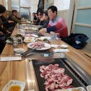 황금오리셋 이미지