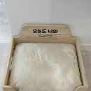 동이애견 | [경주/외동읍] 경주 애견동반 독채펜션 오늘도 너와 &#39;방 둘&#39; 내돈내산 후기