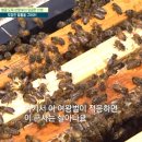 상열농장 이미지