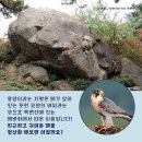 대림골목시장 이미지