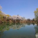 거창(대구) 이미지