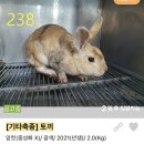 조재진동물병원 이미지
