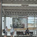 자동차스타트하우스 | 모에요멘스케,오사카-교토 이동, 마마마초, 게스트하우스 키오토, 기온거리, 와규볼케이노 오아가리, 밤...