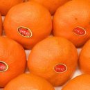 자연농장 이미지