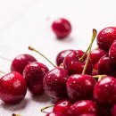 체리약국 이미지