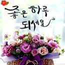 노랑병아리 이미지
