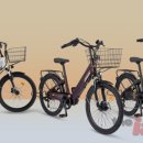 고령 삼천리 자전거 이미지