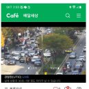 오늘자 강남역 5중 추돌 사고 여성운전자 이미지