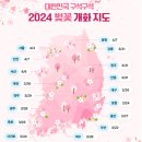 팔공산벚꽃축제 ! 팔공산 동화지구 분수대 광장 일대에서 개최 일정과 후기! [이춘근 티스토리 1,149회]