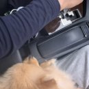 고달할머니 이미지