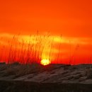 종로-종로-종로-종-108 이미지