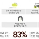 바라봄안경 이미지