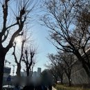 운동장길R 네이버블로그