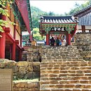 도림사[남] Daum카페