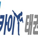 용인대스카이태권도 - 강동구 아리수로93길 9 | 용인대스카이태권도