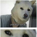 심봤다두루치기 이미지