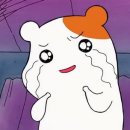 신아람펜싱클럽