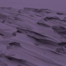 라카이샌드파인 이미지