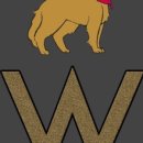 더블유펫 이미지