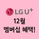 LG스타오토카서비스 | LG U+ 12월 멤버십 혜택 총정리: 스마트한 일상부터 주말 나들이까지 🌿