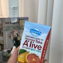 더 아이래쉬