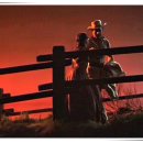 상복농장 이미지