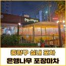 은행나무 포장마차 이미지