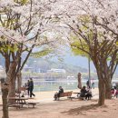 조형기푸드버드나무뷔페 | 대구 수성못 명소 &amp; 현지 맛집 소개 2026 🌸 대구의 보석, 수성못 — 사계절이 모두 아름다운 곳