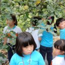 하늘재농원 이미지