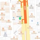 부산강아지분양 고양이분양 베스트펫 본점 이미지