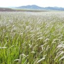 게스트하우스휴 이미지