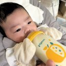 식열목장 | 제왕절개후기 신생아 분유추천 위드맘 제왕 분유갈아타기 신생아 분유량은?