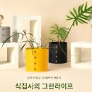 그린인테리어 홈가드닝 이미지