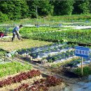 진흥2농장 이미지