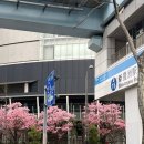 라멘트럭랩 | 도쿄 가볼만한곳 / 도쿄 팀랩플래닛 당일예약 도쿄 실내관광지 강추 후기