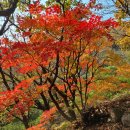 청계사입구 삼거리 | 청계산 산행