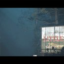 더픽쳐스