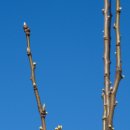 서평택약국 이미지