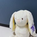 모짜르트하우스 | 19개월 언어발달 장난감 추천 | 코코지하우스 아띠 효과? 내돈내산 3개월 후기