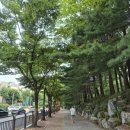 성남분당 서현동 시범단지아파트 임장후기