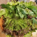 현주네숯불갈비&우렁이쌈밥 이미지