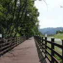 대원상가.약령시장 이미지