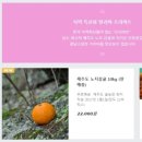 프리마트 이미지