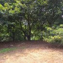 횡천면사무소 이미지