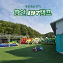 197 | 경남 함안 캠핑장 '197 캠프' 내돈내산 후기 / 당일치기 피크닉