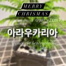 에이프릴플라워 이미지